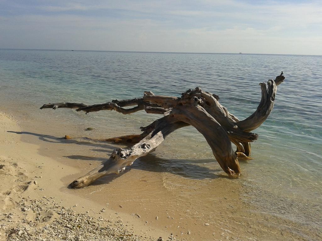 Putri Homestay Gili Meno Eksteriør bilde