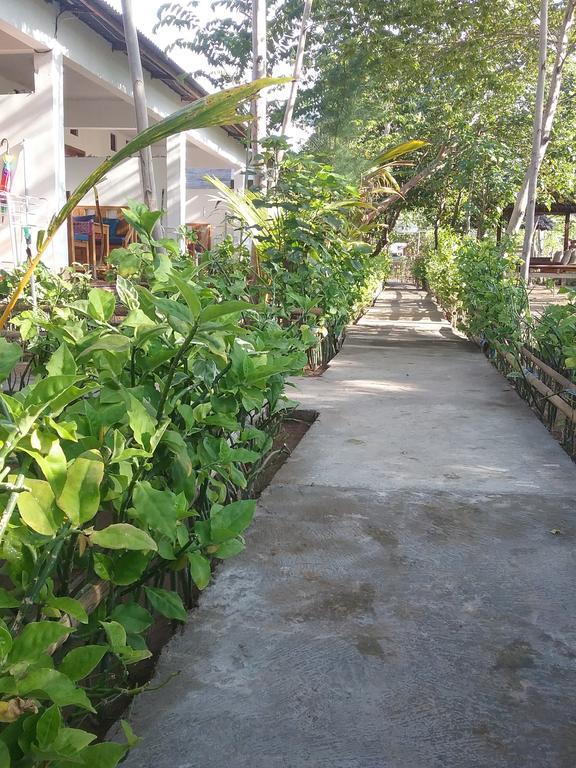 Putri Homestay Gili Meno Eksteriør bilde