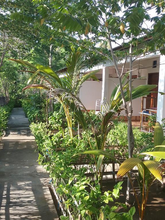 Putri Homestay Gili Meno Eksteriør bilde